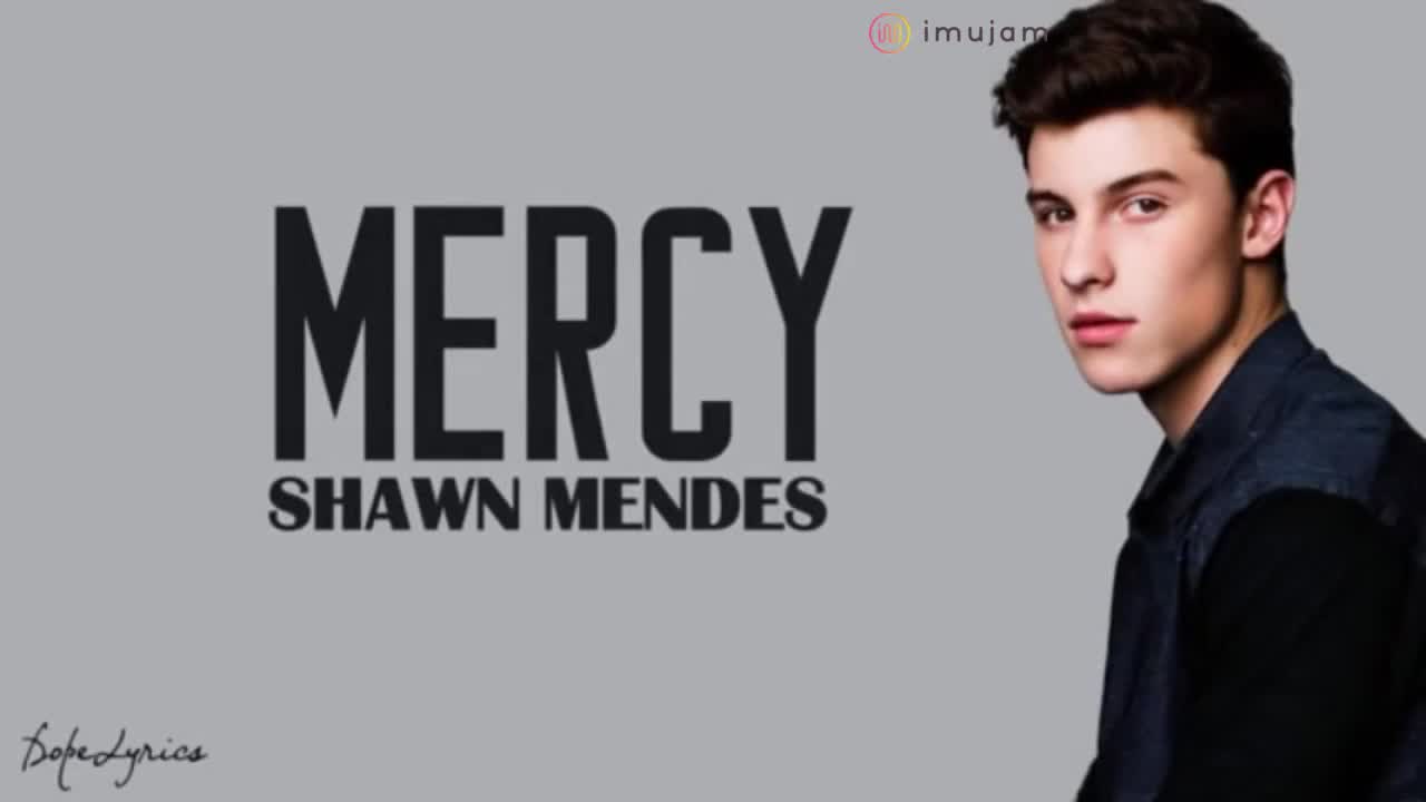 Shawn Mendes - Mercy